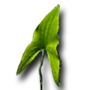 Sqigwts Leaf